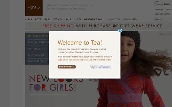 Example of a pop up email capture window