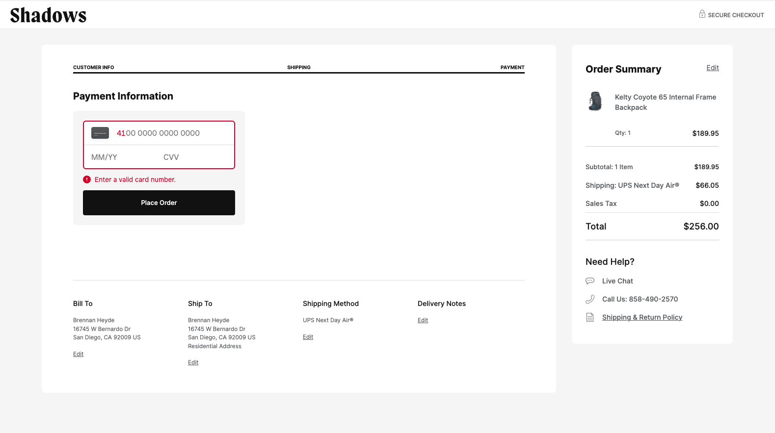 A screenshot of an ecommerce store's checkout, with a Payment Information field for inputting credit card information showing an error.