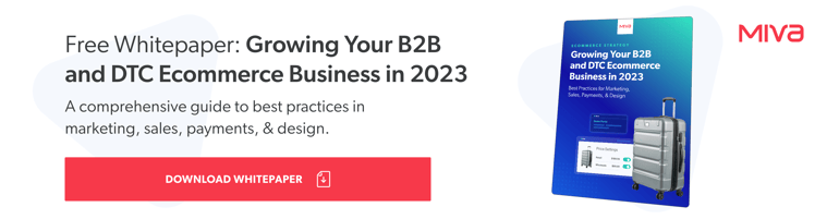 Download white paper: Growing Your B2B and DTC Ecommerce Businesses in 2023