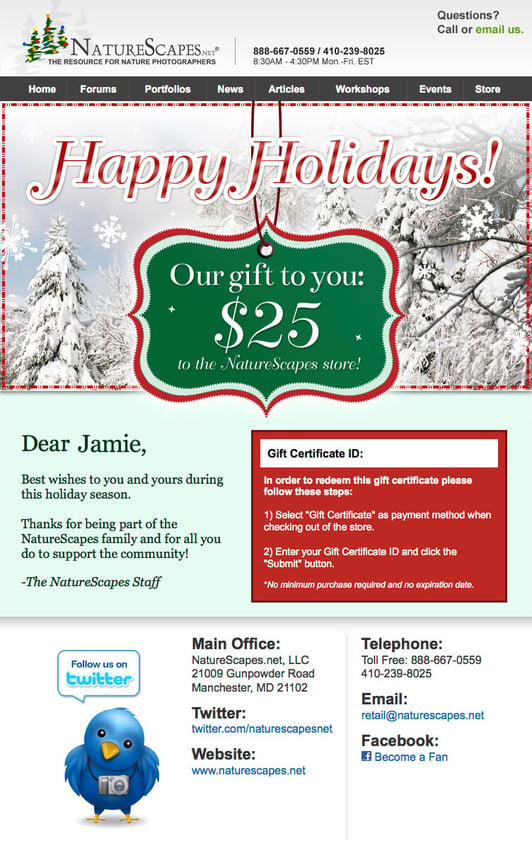 holiday_sales_strategy_email