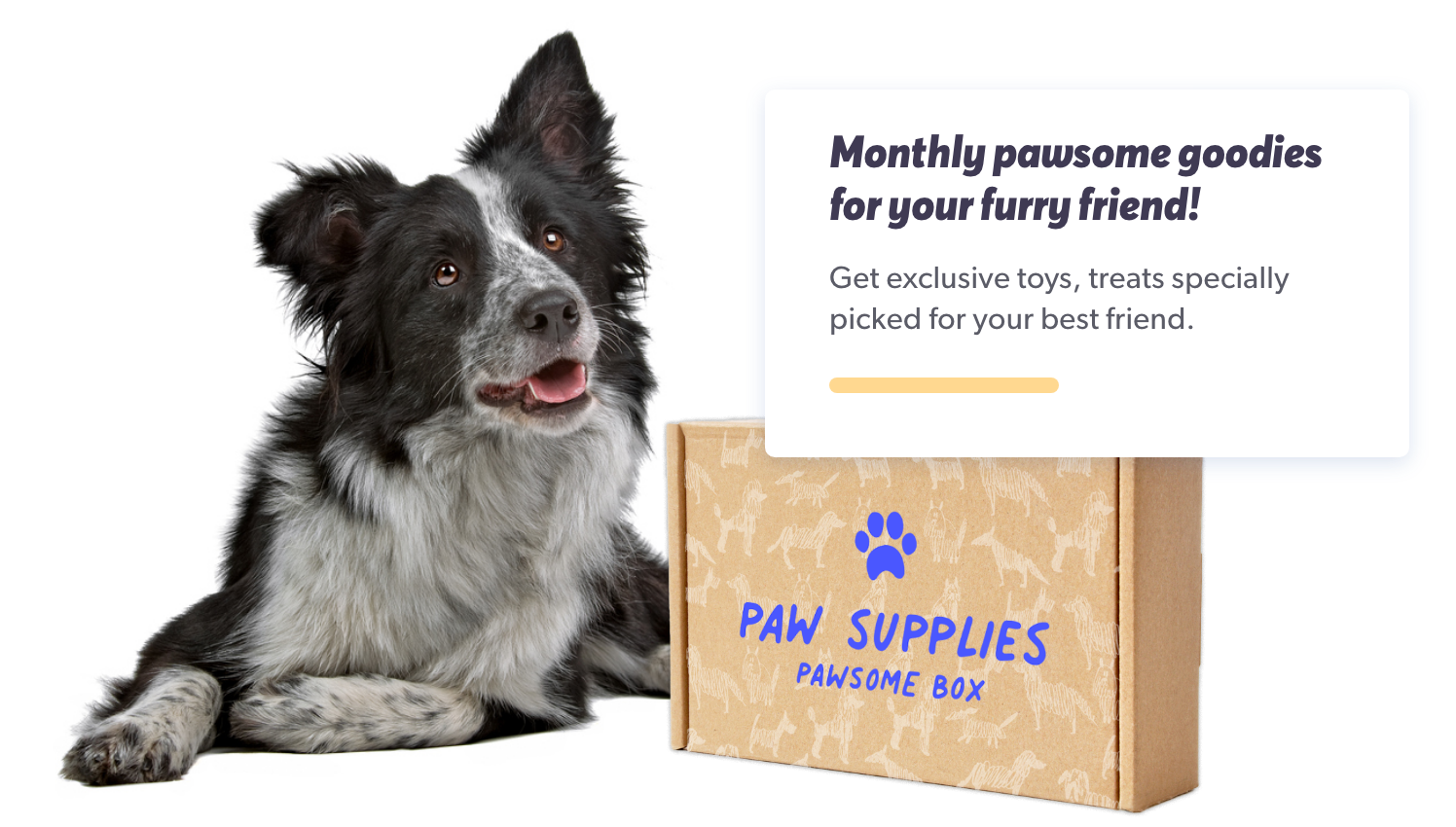 A cute dog sits next to an ecommerce shipment.