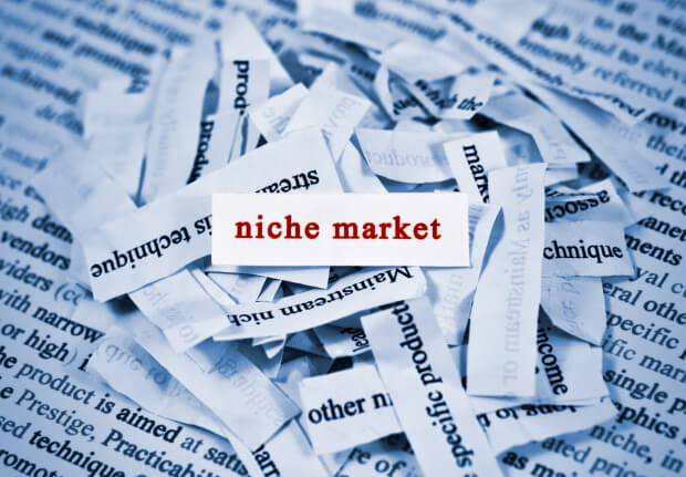 The words Niche Market over scraps of paper.