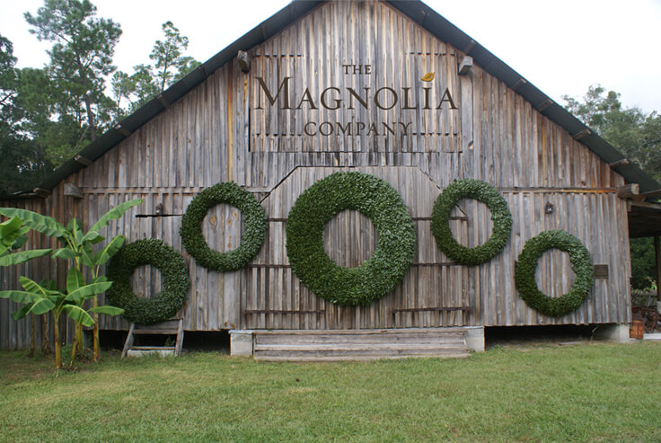 Miva client Magnolia Company website